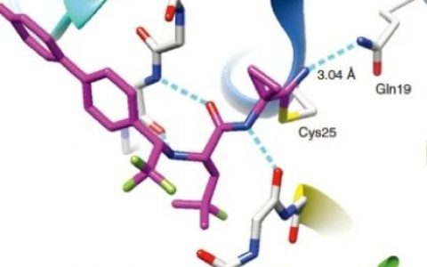 氰基(-CN)结构是如何提高药物分子活性的？