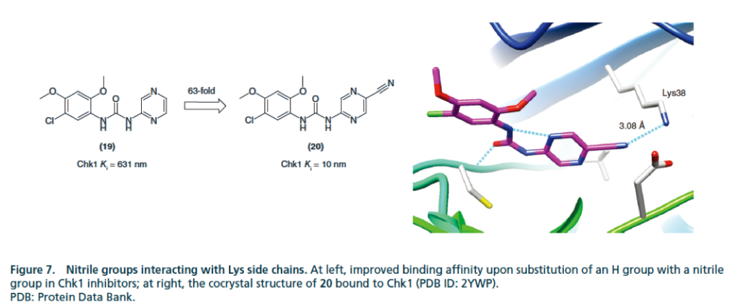 氰基(-CN)结构是如何提高药物分子活性的？