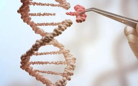 朝彻底治愈艾滋病迈进一大步！CRISPR成功在灵长类中编辑类HIV病毒