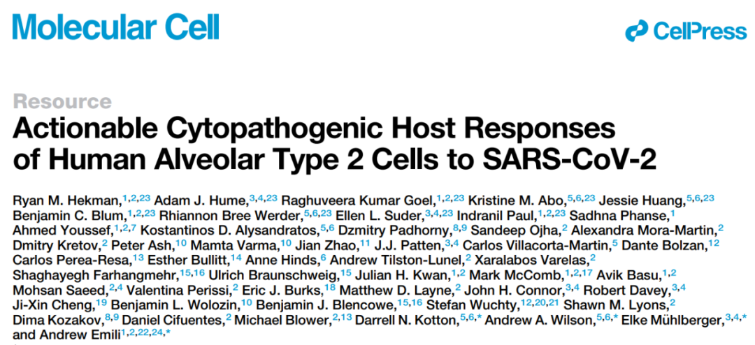 Cell子刊：新冠病毒是如何劫持并摧毁人类肺部细胞的