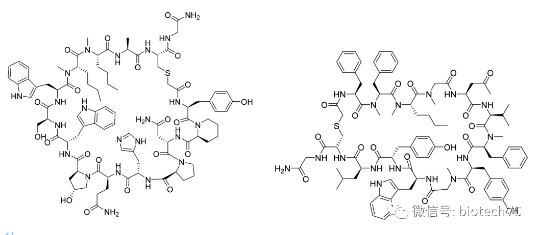 颠覆式创新：小分子PD-L1抑制剂能否破解PPI靶点成药难题？