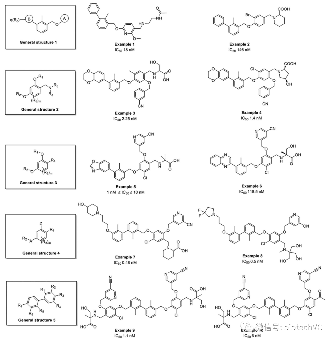 颠覆式创新：小分子PD-L1抑制剂能否破解PPI靶点成药难题？