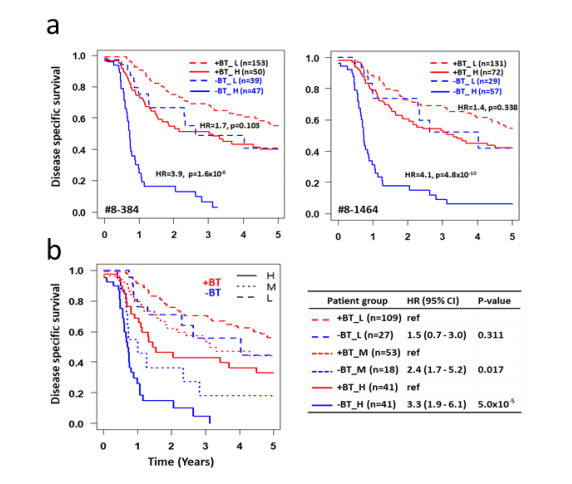 重磅！清除衰老细胞，可提高癌症生存率！《Cancers》最新研究揭开衰老和癌症之间联系