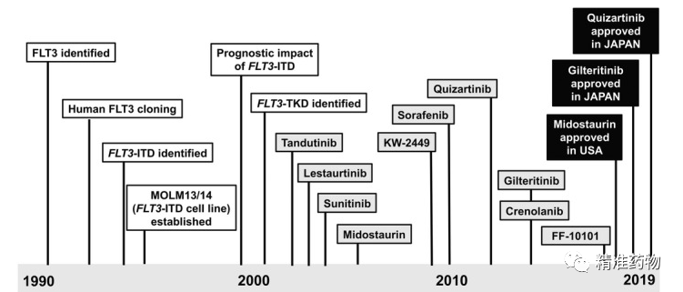 FLT3抑制剂治疗AML研究进展