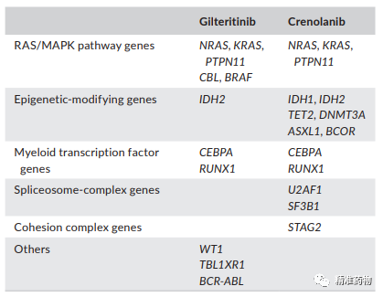 FLT3抑制剂治疗AML研究进展