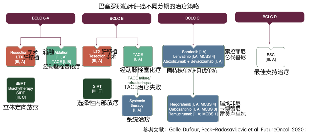 重磅年度总结，肝癌治疗药物有哪些，怎么选？