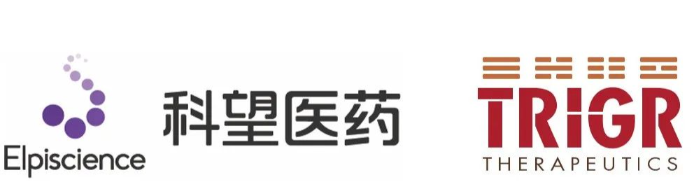 科望医药与TRIGR共同宣布就处于临床1b期的VEGF/DLL4双特异性抗体TR009(ES104)达成大中华地区独家授权协议