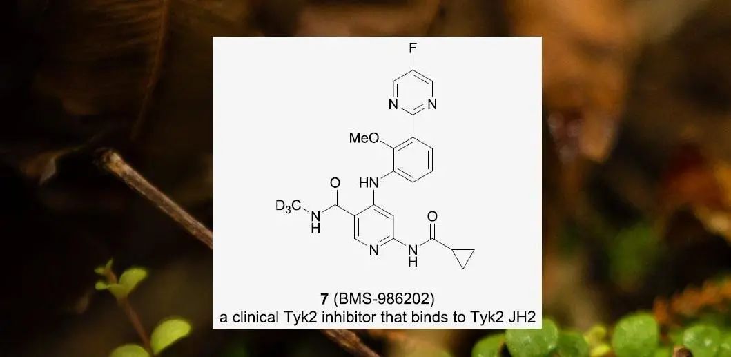 百时美施贵宝临床I期Tyk2抑制剂BMS-986202的发现