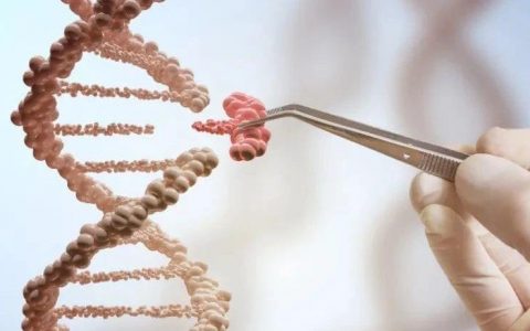 谢雨礼博士 | 生物医药2021：把握创新转型的大势