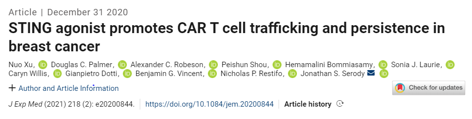 CAR-T与STING激动剂/检查点抑制剂联手，有望提高小鼠对抗乳腺癌的能力