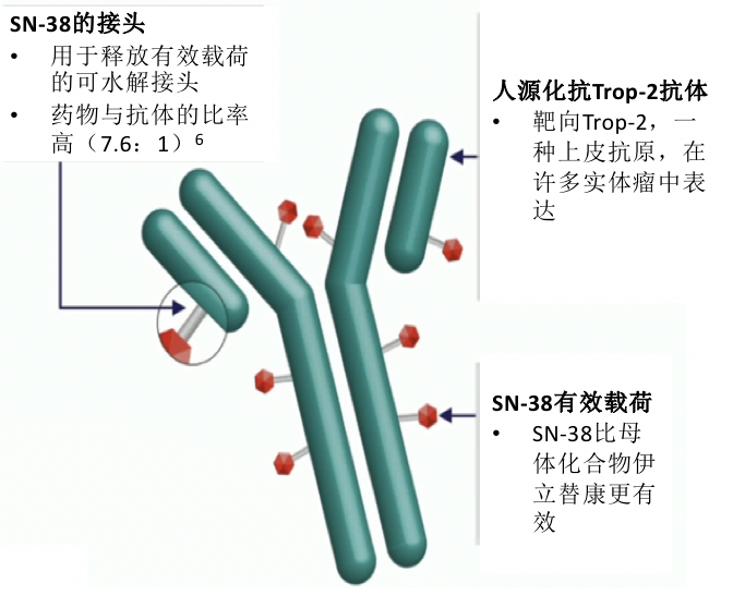 全球首个三阴乳腺癌Trop-2 ADC药物III期研究结果惊艳亮相