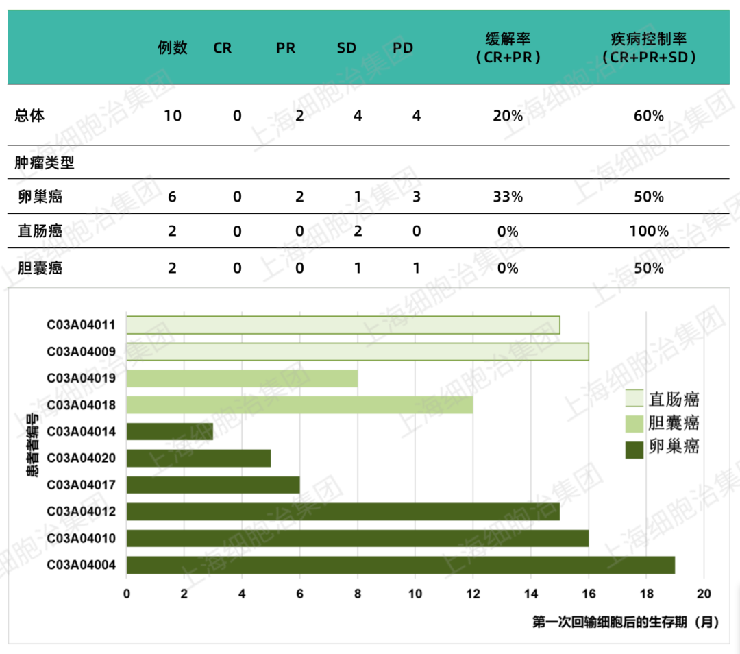 PD-1携手CAR-T疗法！强强联合能否打破实体瘤治疗困局？