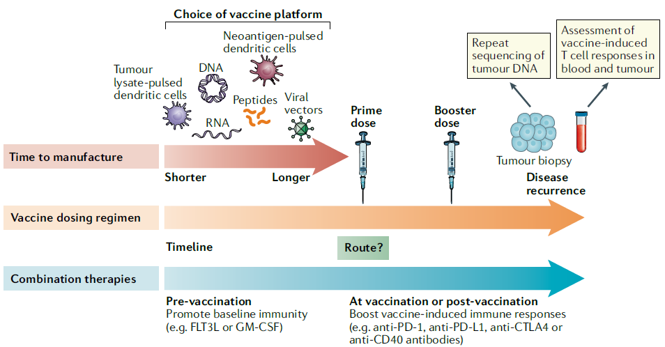 未来已来：肿瘤新抗原疫苗
