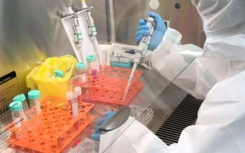 查尔斯河实验室与驾玉生物合作，扩大生物制药服务的能力