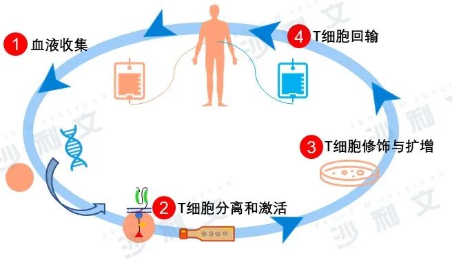 医药产业发展新浪潮（上）——细胞和基因疗法