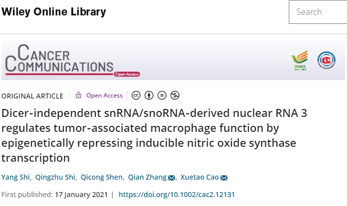 2021年首秀！曹雪涛团队发现一类新的RNA，在抗肿瘤中具有重要功能