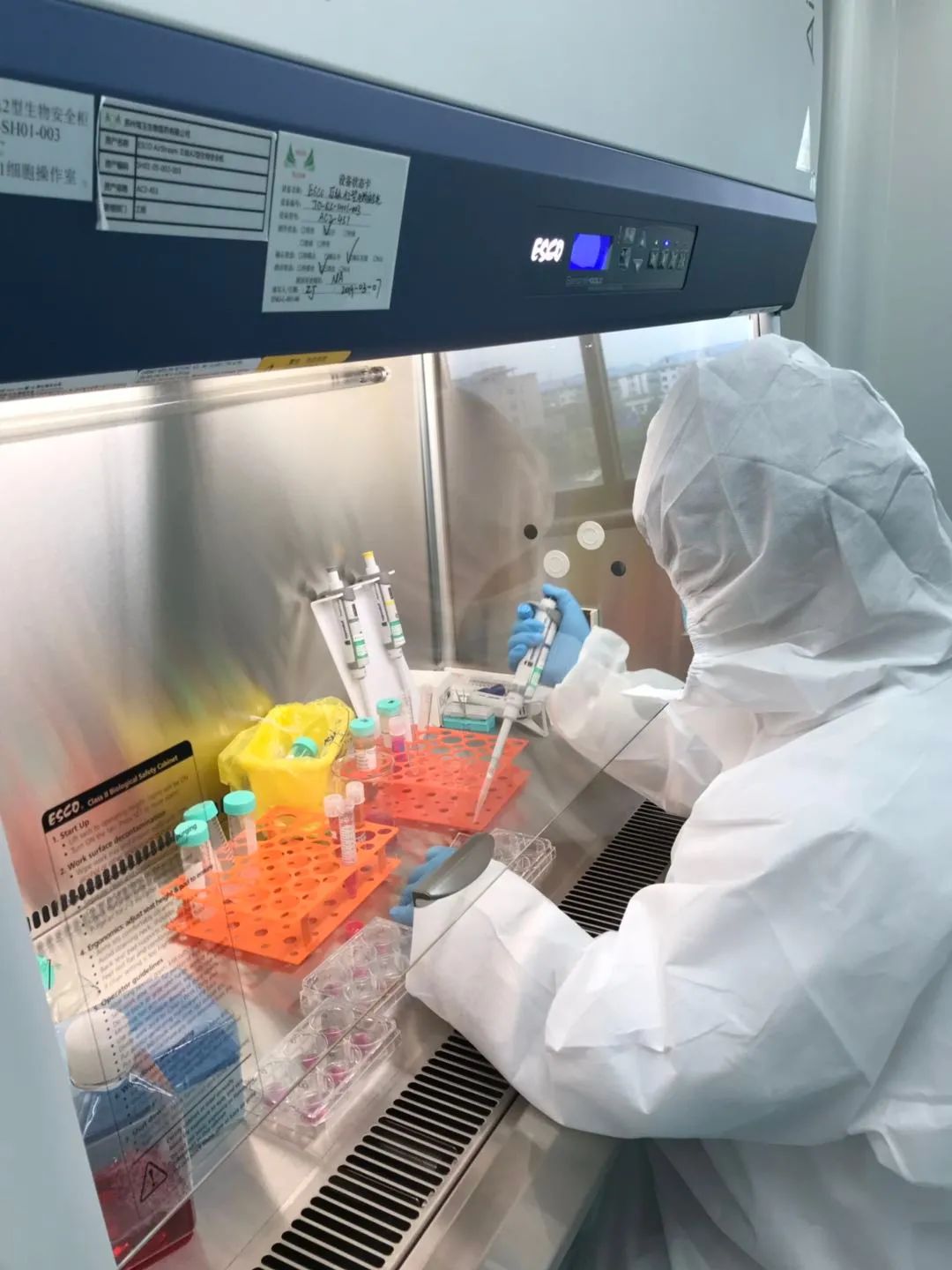 查尔斯河实验室与驾玉生物合作，扩大生物制药服务的能力