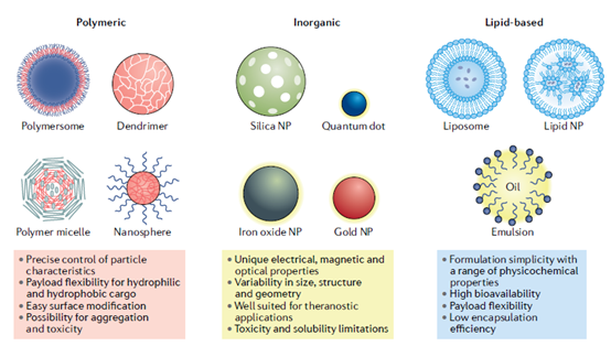 药物递送系统绕不开的话题——纳米颗粒