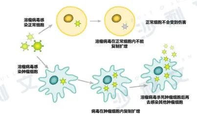 医药产业发展新浪潮（下）——细胞和基因疗法研发生产外包服务