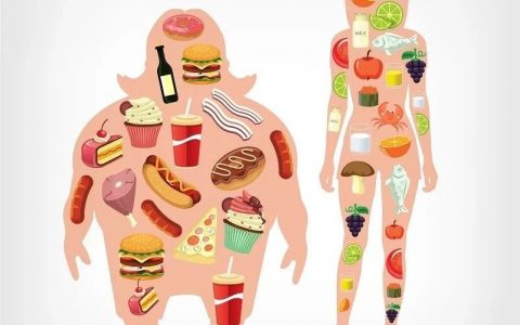 Cell 重磅：肥胖不但拉低颜值，而且抑制免疫细胞、促进癌细胞生长