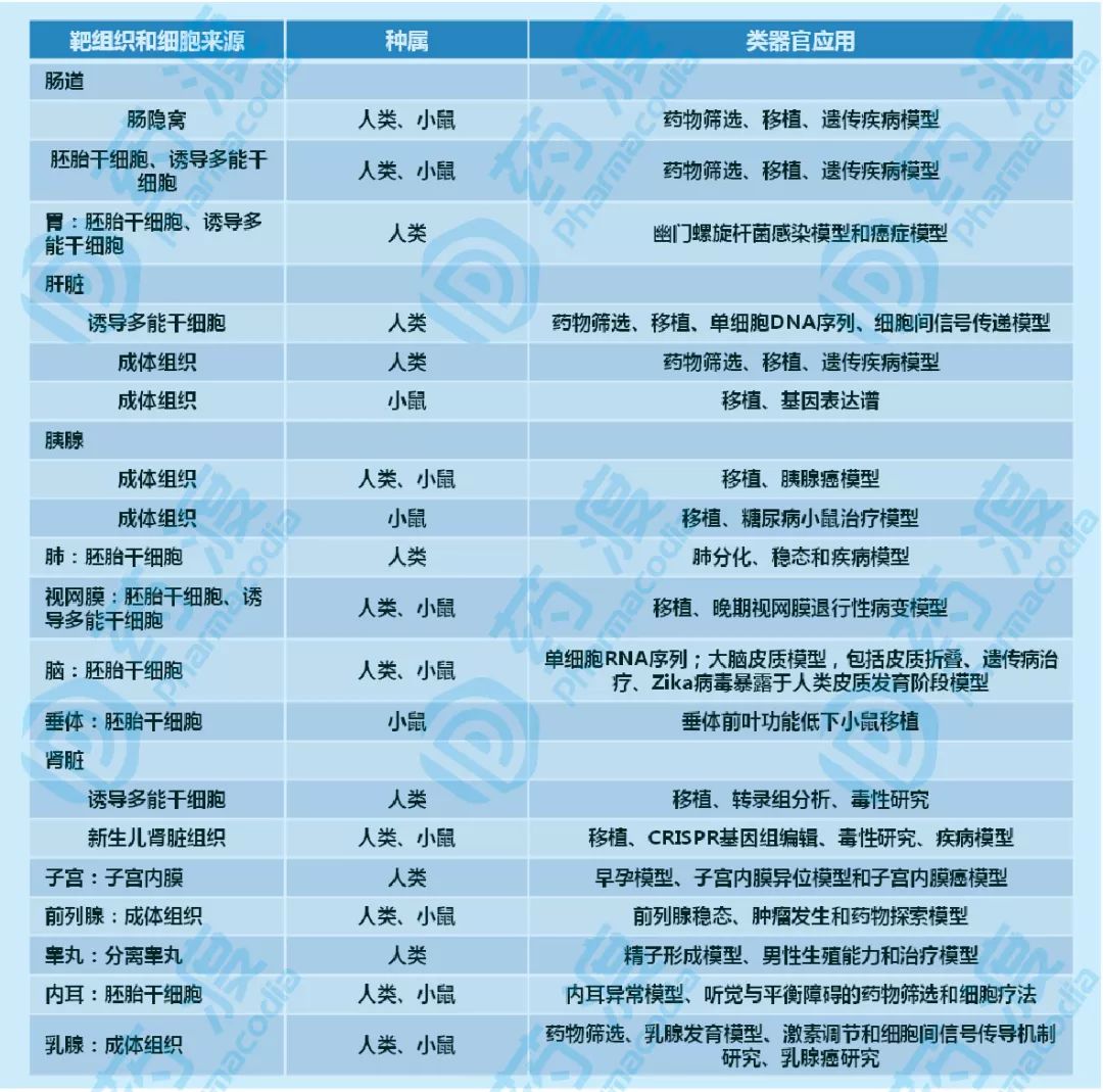 类器官——疾病研究和药物开发的重要工具