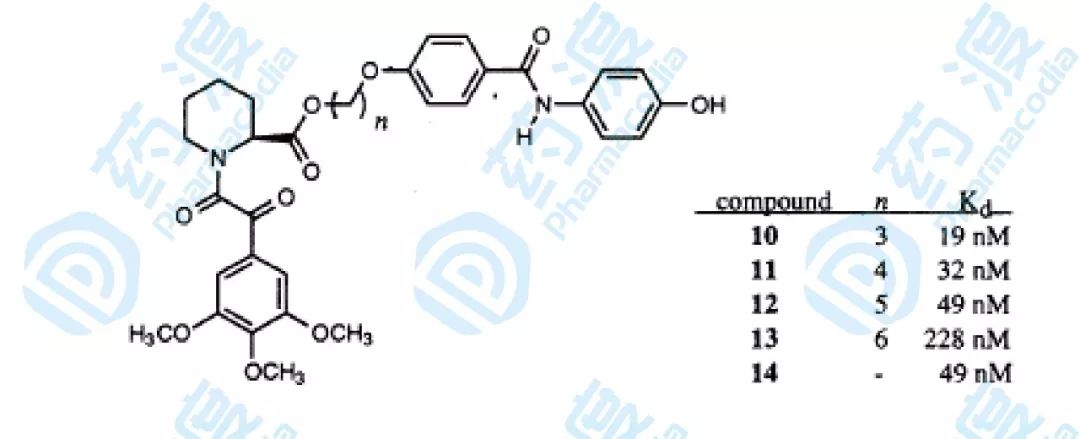 药物研发新革命——核磁共振技术加速先导化合物发现