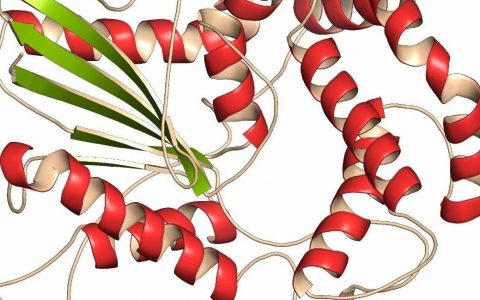 盘点NMPA批准的国产原创小分子激酶抑制剂