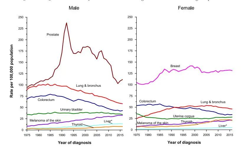 2020美国癌症数据：死亡率下降29%，带给我们什么启示？