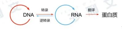 医药产业发展新浪潮（上）——细胞和基因疗法