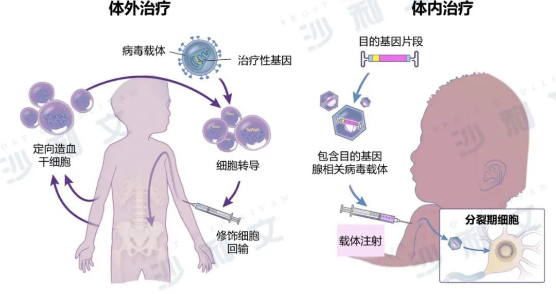 医药产业发展新浪潮（上）——细胞和基因疗法