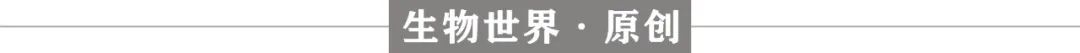 Science子刊：长假在家也别颠倒作息，昼夜紊乱会促进癌细胞增殖