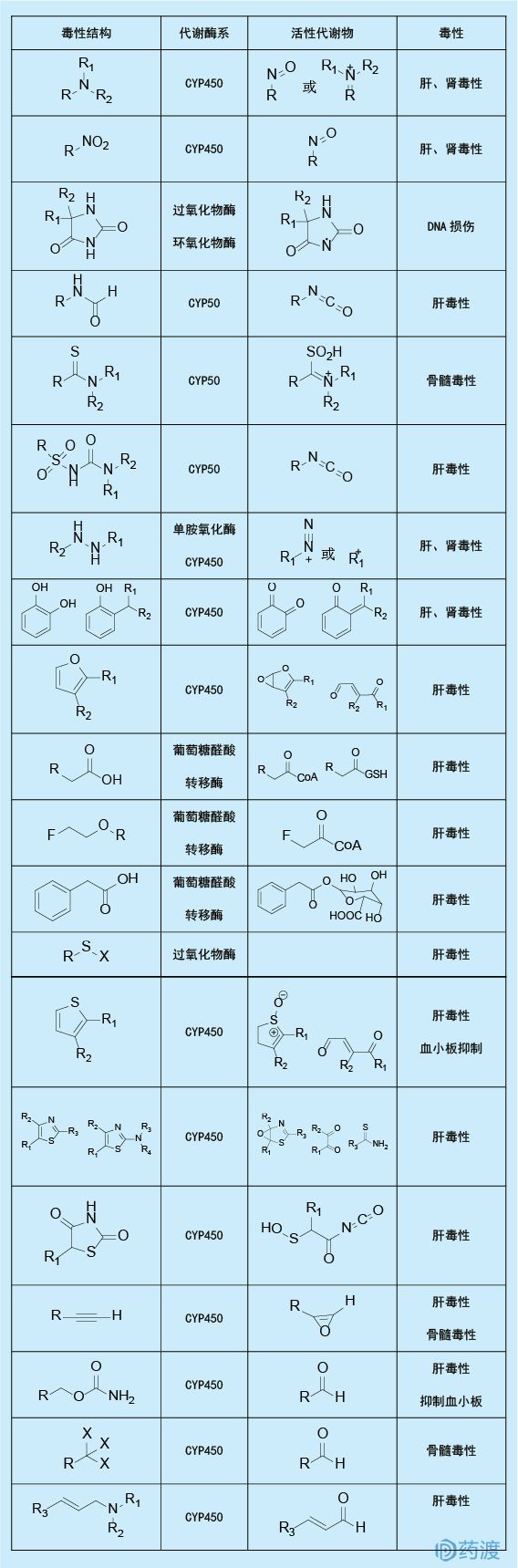 药物代谢研究在药物研发中的作用