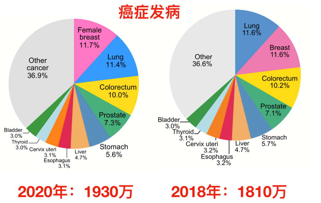 癌症跃居中国死因第一！2020全球癌症统计报告发布，这些变化你必须知道！