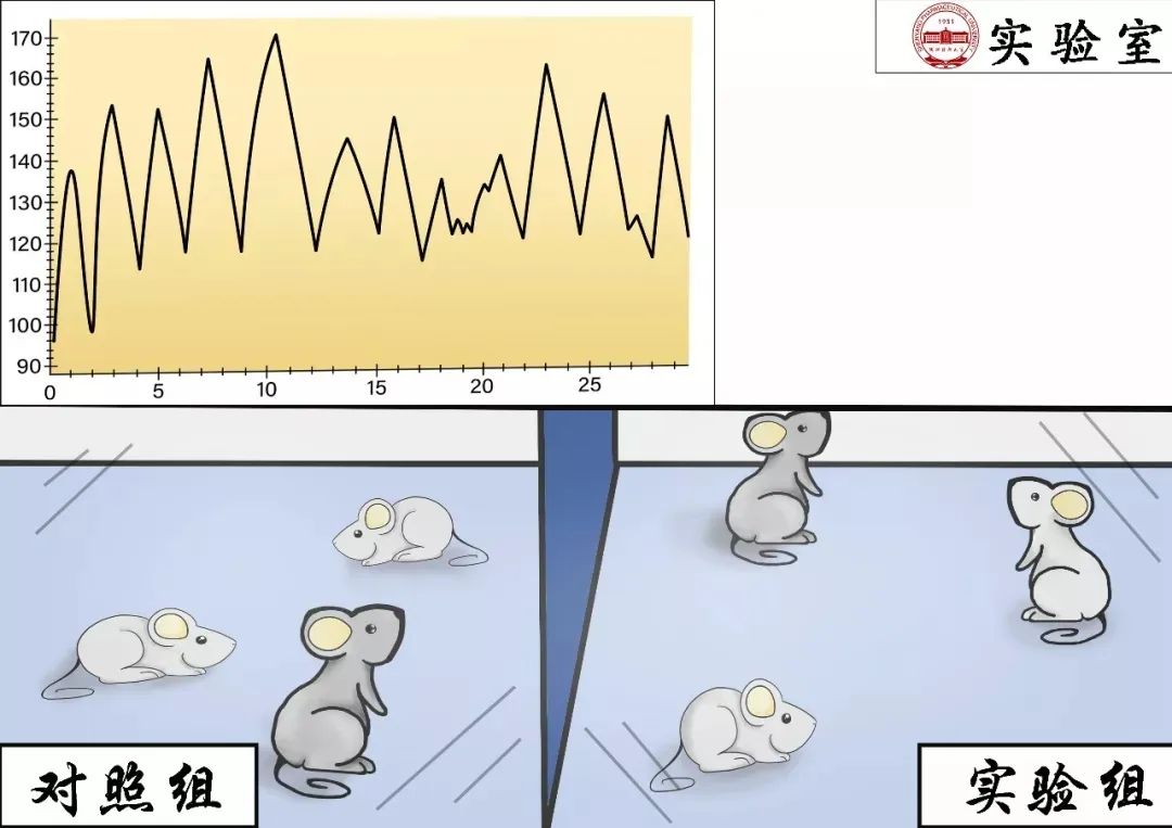 漫画 | 从一粒药的研发过程解读相关专业