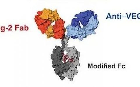 首款针对眼睛设计的双抗药物Faricimab Ⅲ期临床效果良好，治疗时间长达16周