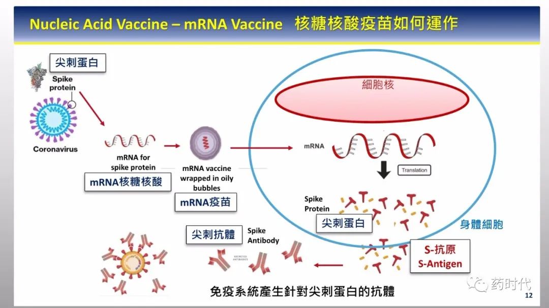 PPT分享 | 新冠肺炎何时了，疫苗知多少？