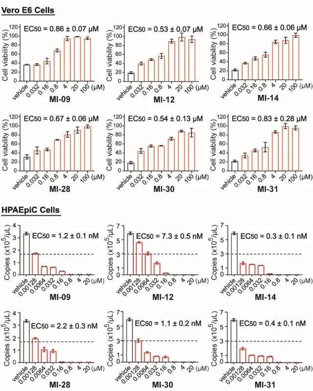 开门红！华西医院连续在国际知名期刊Science、Cell发表重磅文章！