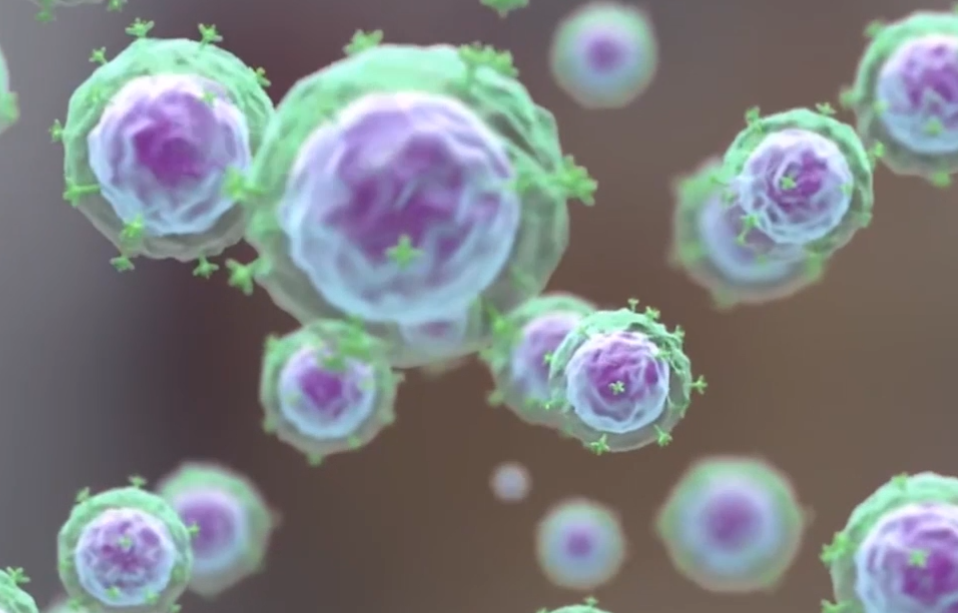 CAR-T细胞治疗为什么用自己的细胞更好？《Nature》子刊最新研究给出答案