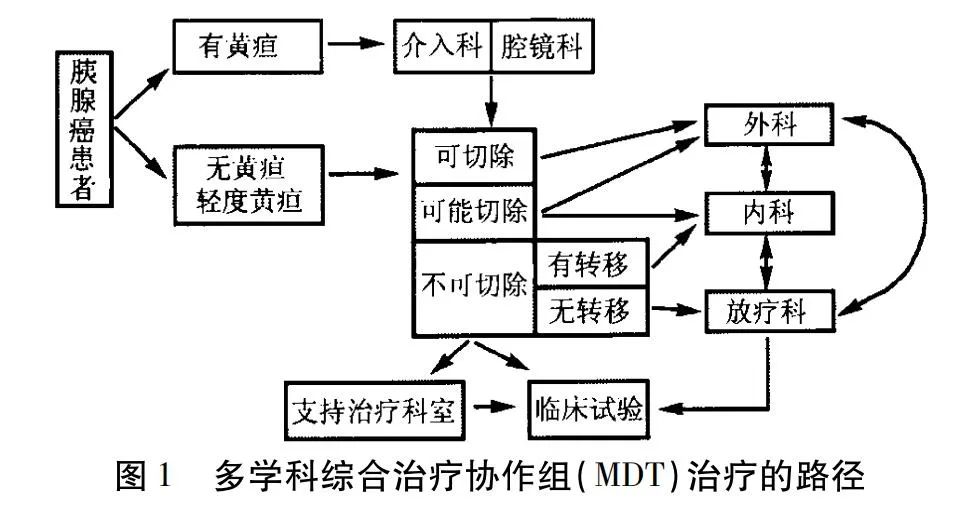 共识推荐｜中国胰腺癌多学科综合治疗模式专家共识（2020版）