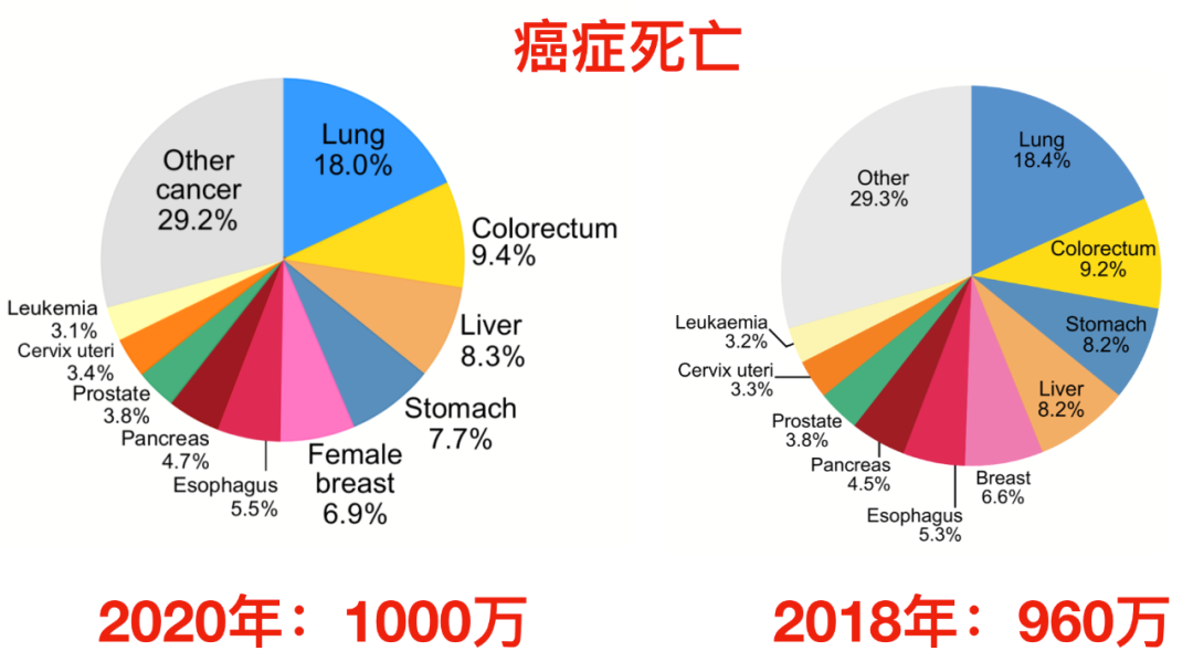 癌症跃居中国死因第一！2020全球癌症统计报告发布，这些变化你必须知道！