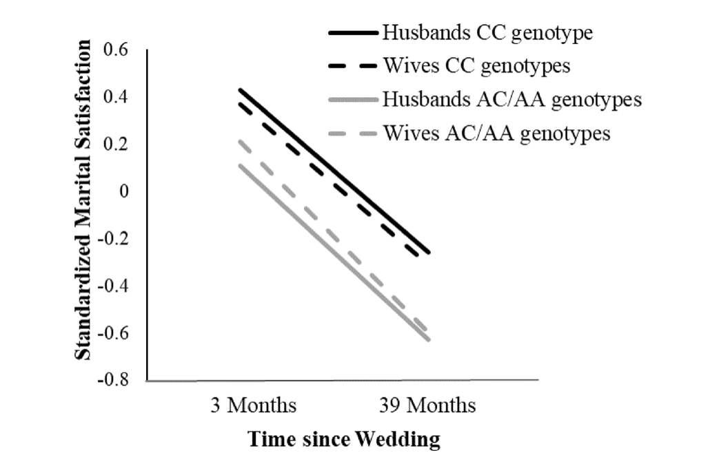 奇文共赏：拥有这种基因突变的人，夫妻关系更融洽，对婚姻满意程度更高