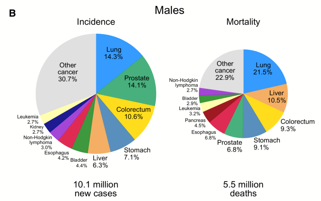 癌症跃居中国死因第一！2020全球癌症统计报告发布，这些变化你必须知道！