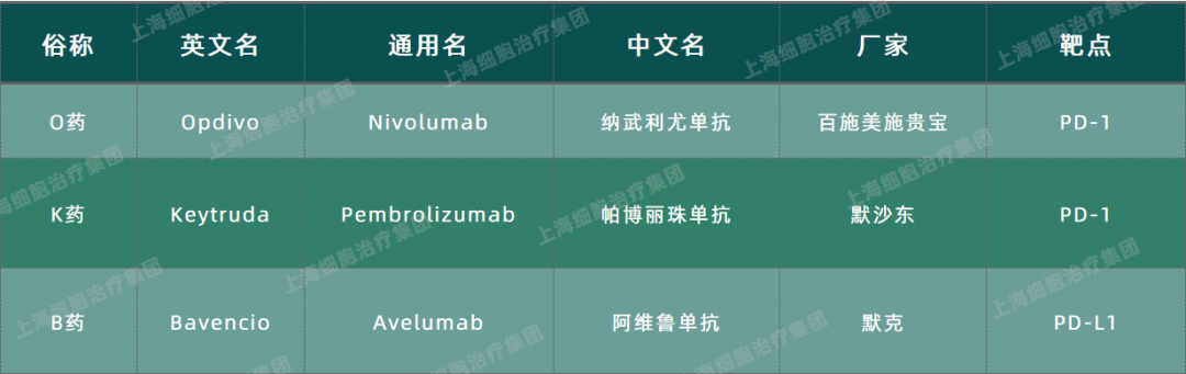 总缓解率增加105%！无进展生存期增加100%！晚期肾细胞癌免疫联合疗法新进展
