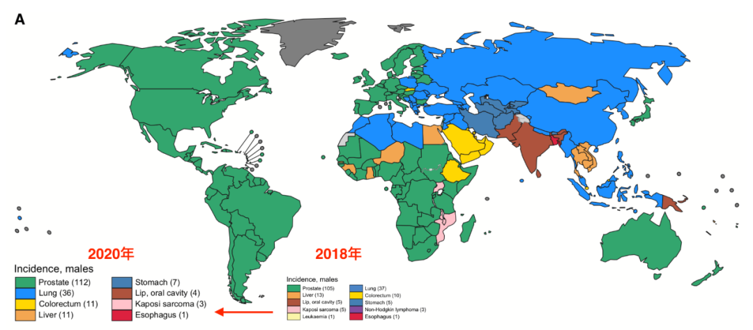 癌症跃居中国死因第一！2020全球癌症统计报告发布，这些变化你必须知道！