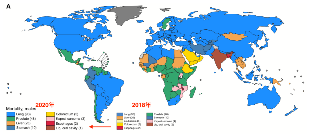 癌症跃居中国死因第一！2020全球癌症统计报告发布，这些变化你必须知道！