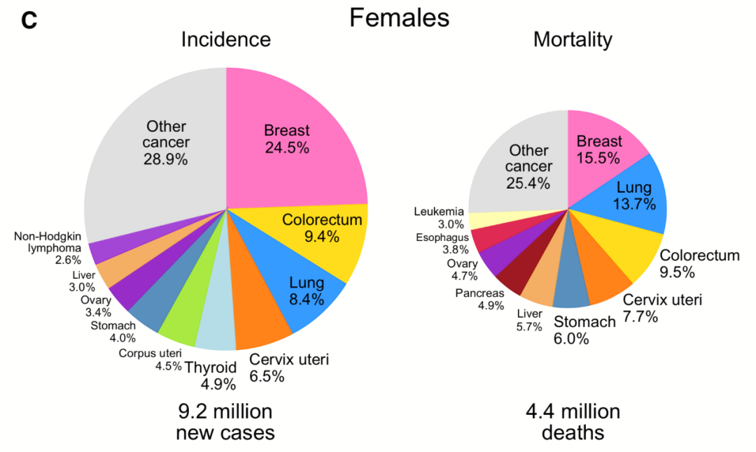 癌症跃居中国死因第一！2020全球癌症统计报告发布，这些变化你必须知道！