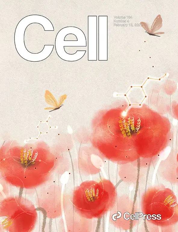 开门红！华西医院连续在国际知名期刊Science、Cell发表重磅文章！