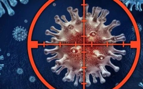 癌症治疗新策略：来自大肠杆菌的蛋白酶，能够降解癌蛋白MYC，提高癌症存活率