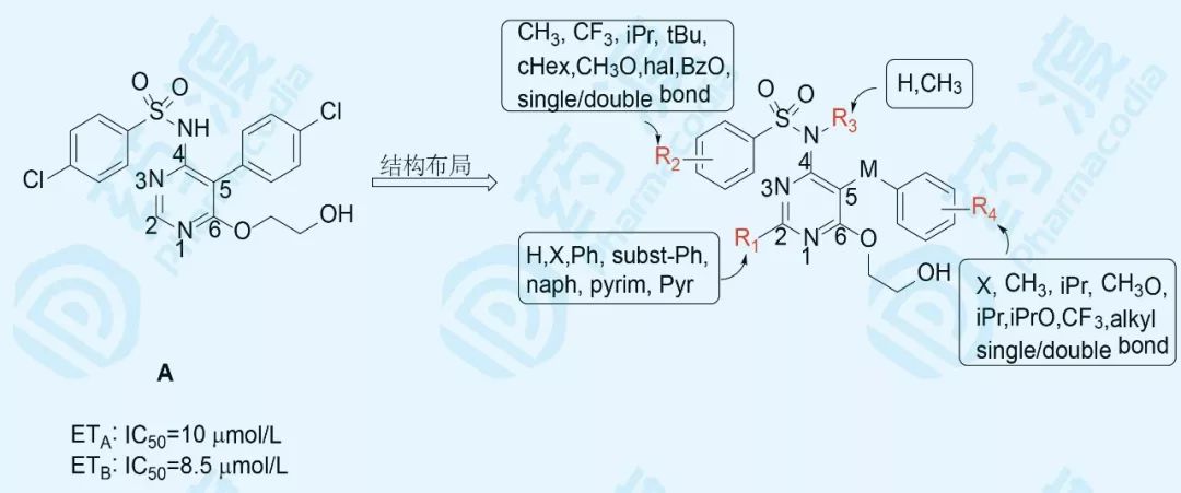 波生坦：构效关系+试错探索——地毯式的探索历程