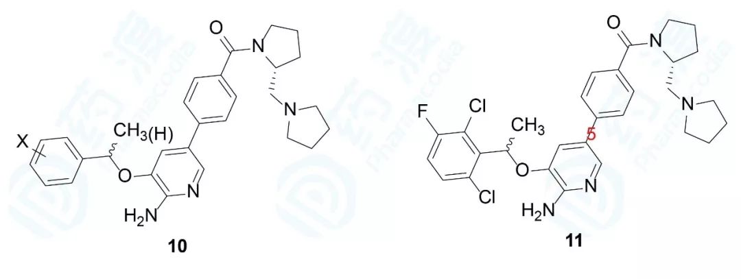 华人之光：克唑替尼的研发历程